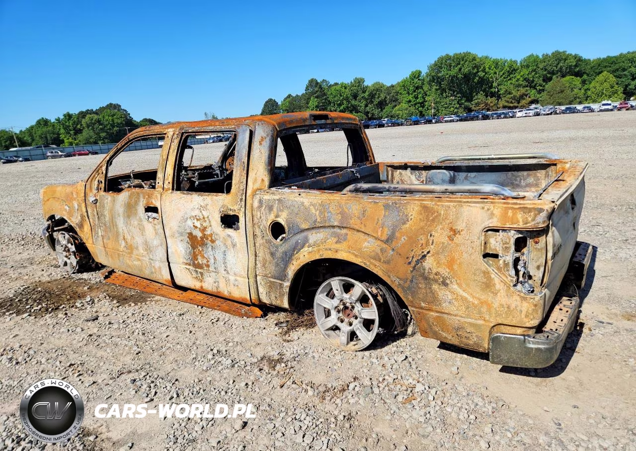 2010 Ford F150 Supercrew VIN:1FTFW1EV5AFC68494 - 2