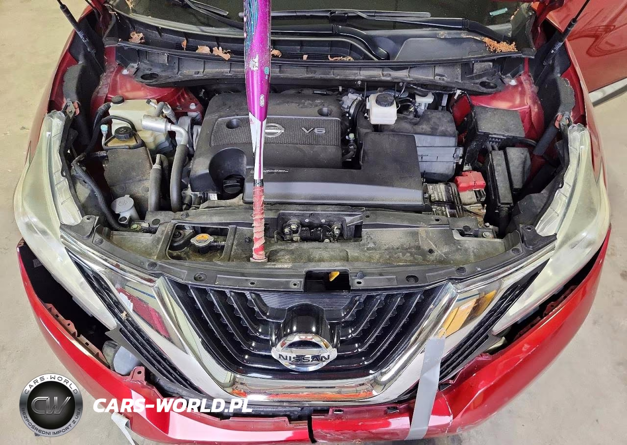 2017 Nissan Murano Platinum VIN:5N1AZ2MH1HN105422 - 12