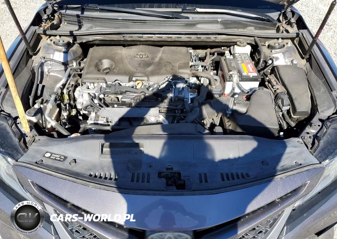 2019 Toyota Camry Se VIN:4T1B11HK0KU204516 - 11