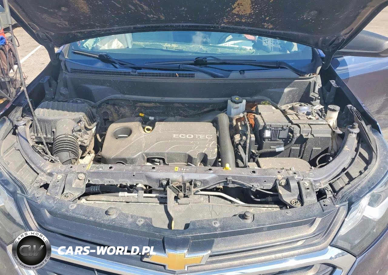 2019 Chevrolet Equinox Ls VIN:3GNAXSEV0KL285697 - 12