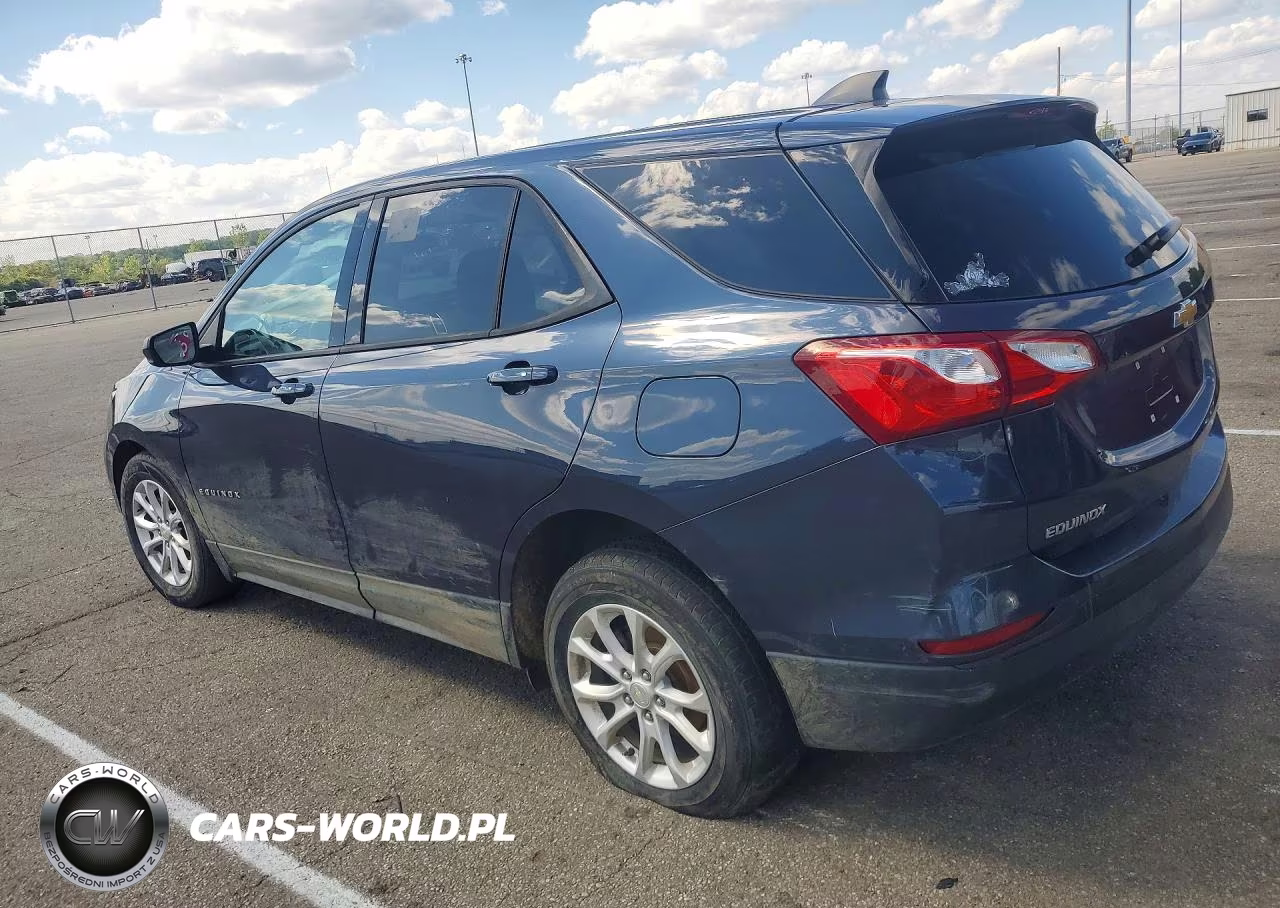 2019 Chevrolet Equinox Ls VIN:3GNAXSEV0KL285697 - 2