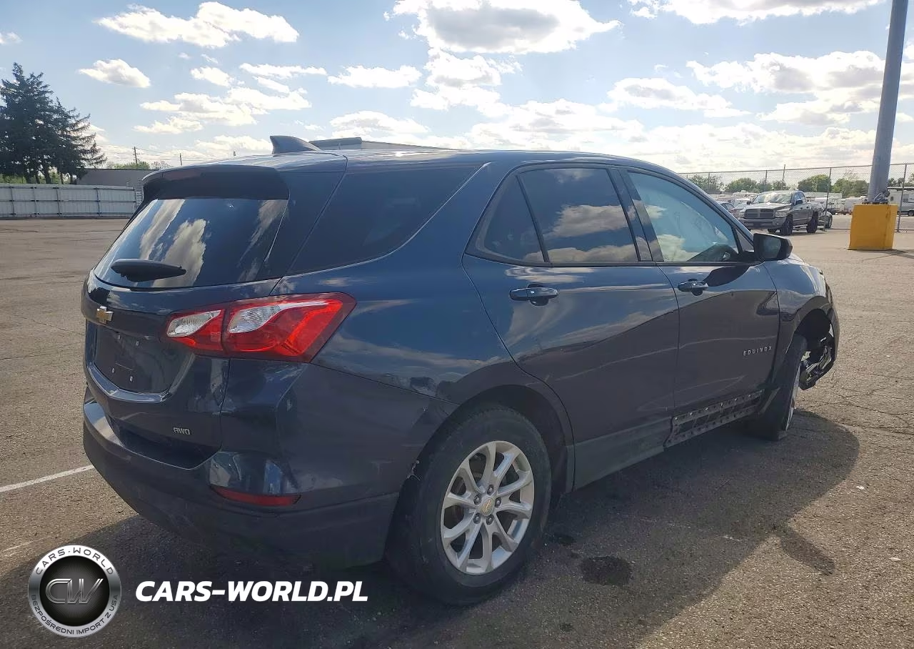 2019 Chevrolet Equinox Ls VIN:3GNAXSEV0KL285697 - 3