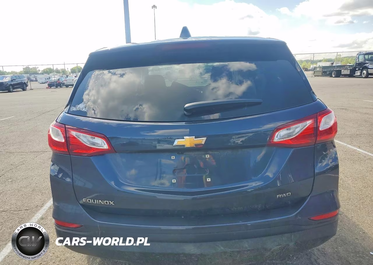 2019 Chevrolet Equinox Ls VIN:3GNAXSEV0KL285697 - 6