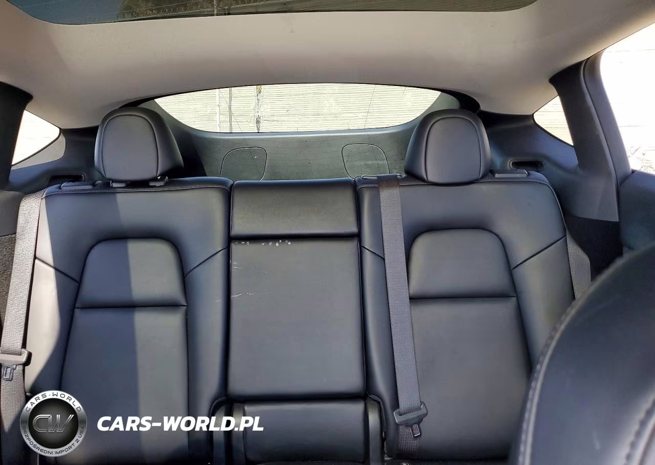 2023 Tesla Model Y VIN:7SAYGDEE9PA046562 - 10