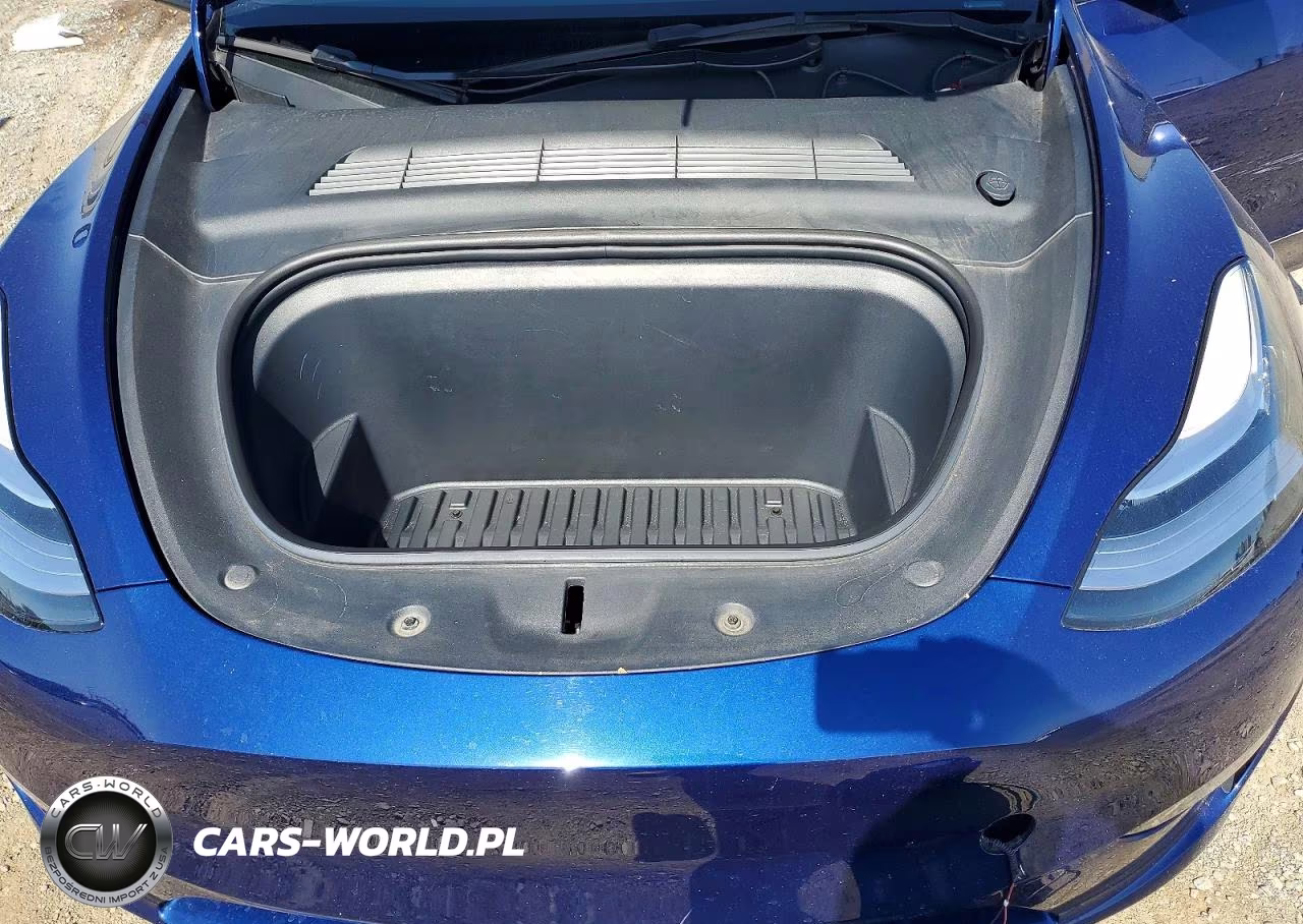 2023 Tesla Model Y VIN:7SAYGDEE9PA046562 - 12