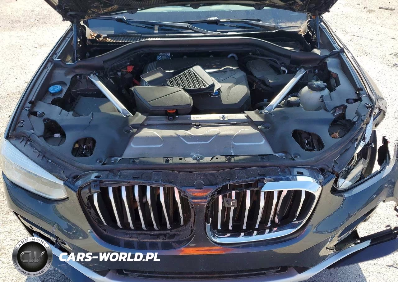 2020 BMW X4 xDrive30I VIN:5UX2V1C0XLLE67474 - 12