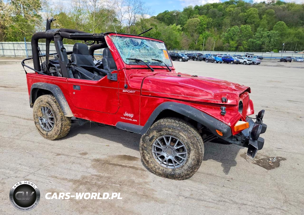 2004 Jeep Wrangler - Tj Sport VIN:1J4FA49S34P755458 - 4