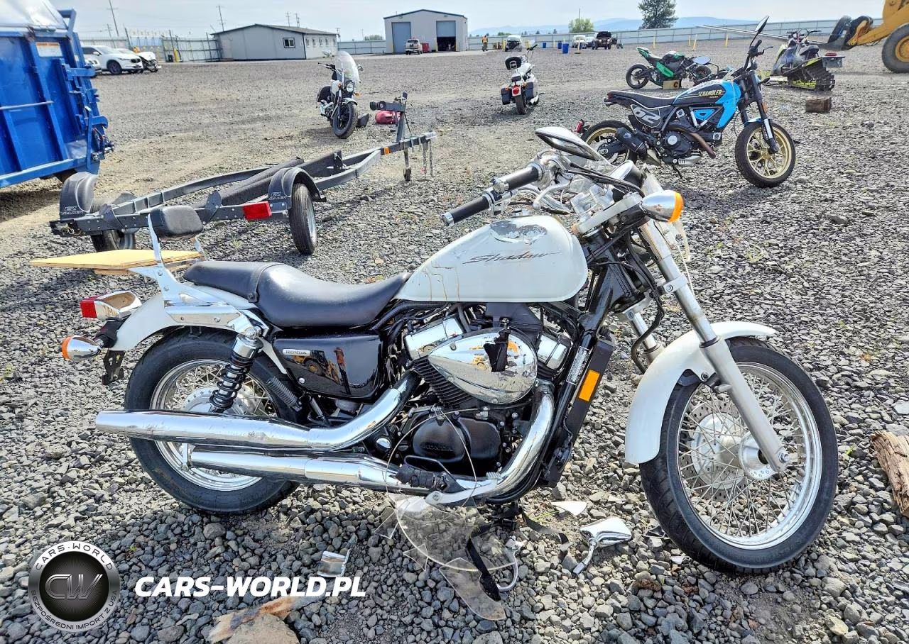 2010 Honda Vt750 S