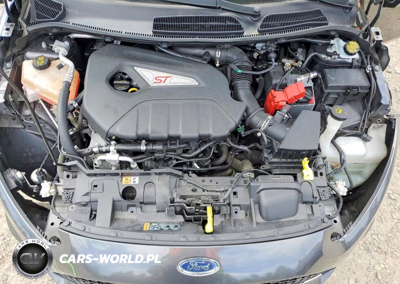 2019 Ford Fiesta St VIN:3FADP4GX8KM101901 - 11