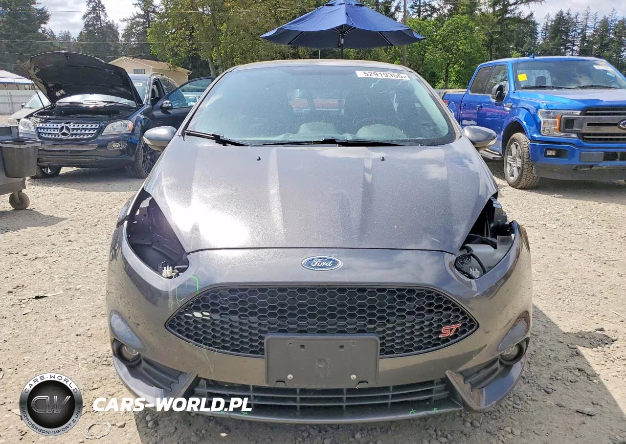 2019 Ford Fiesta St VIN:3FADP4GX8KM101901 - 5