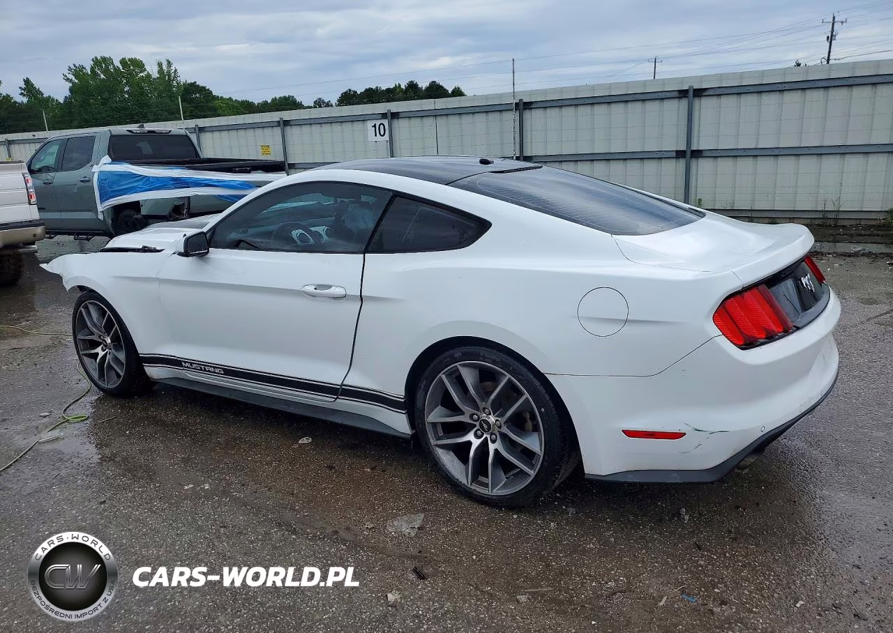 2016 Ford Mustang VIN:1FA6P8TH7G5259657 - 2