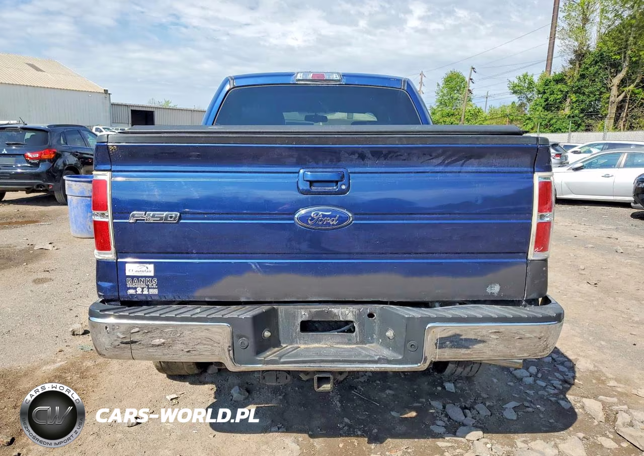2009 Ford F150 Supercrew VIN:1FTPW14V79KB50486 - 6