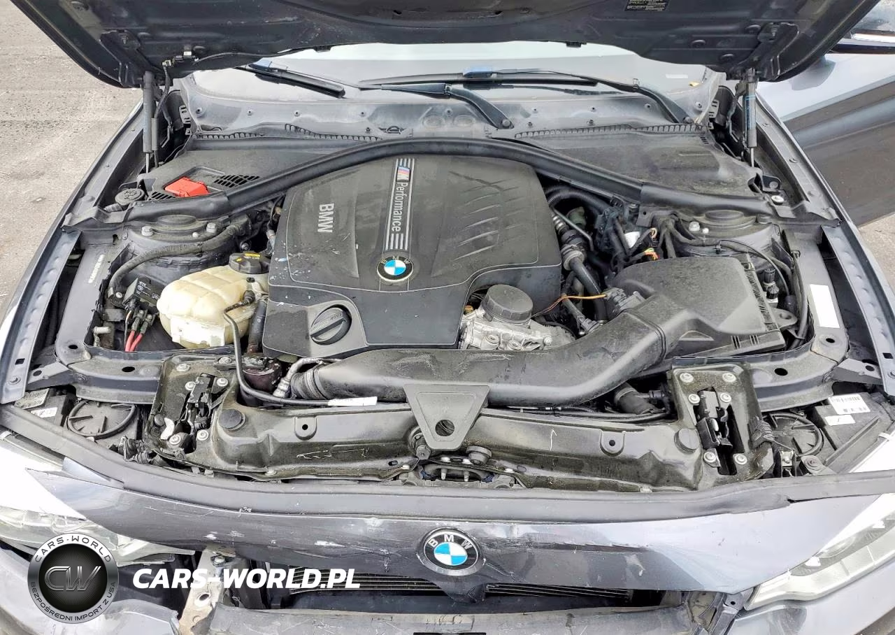 2014 BMW 435 Xi VIN:WBA3R5C54EK187873 - 11