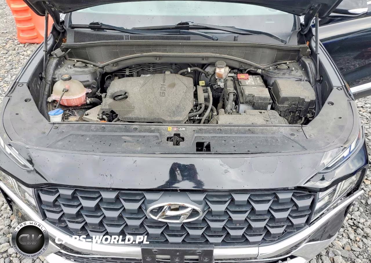 2021 Hyundai Santa Fe Sel VIN:5NMS6DAJ5MH327473 - 12