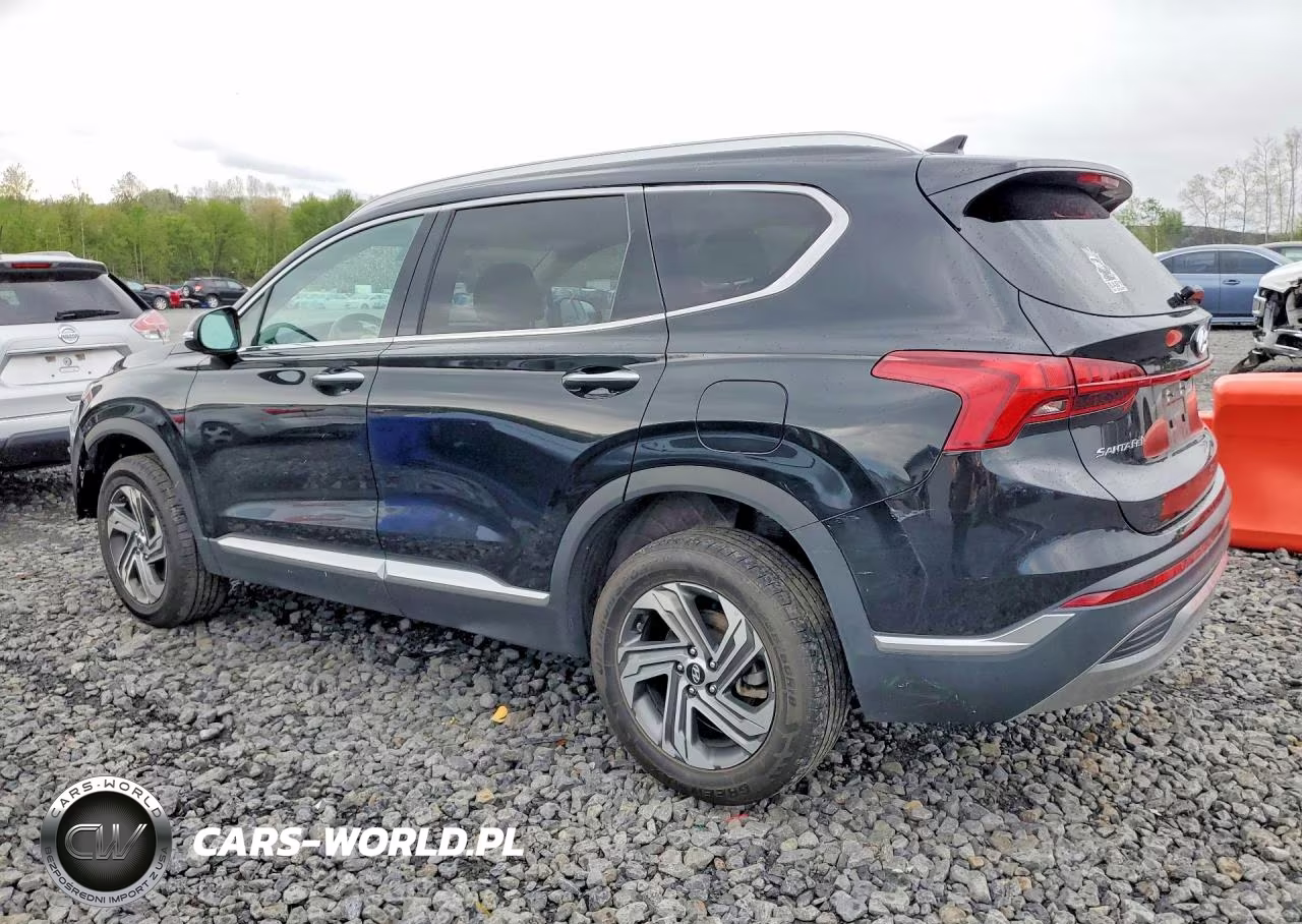 2021 Hyundai Santa Fe Sel VIN:5NMS6DAJ5MH327473 - 2