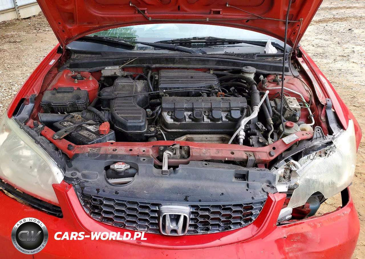 2004 Honda Civic Ex VIN:1HGEM22954L028044 - 11