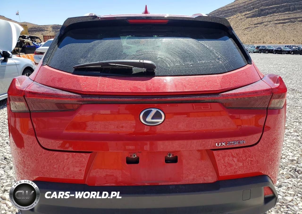 2020 Lexus Ux 250H VIN:JTHX9JBH1L2036140 - 6