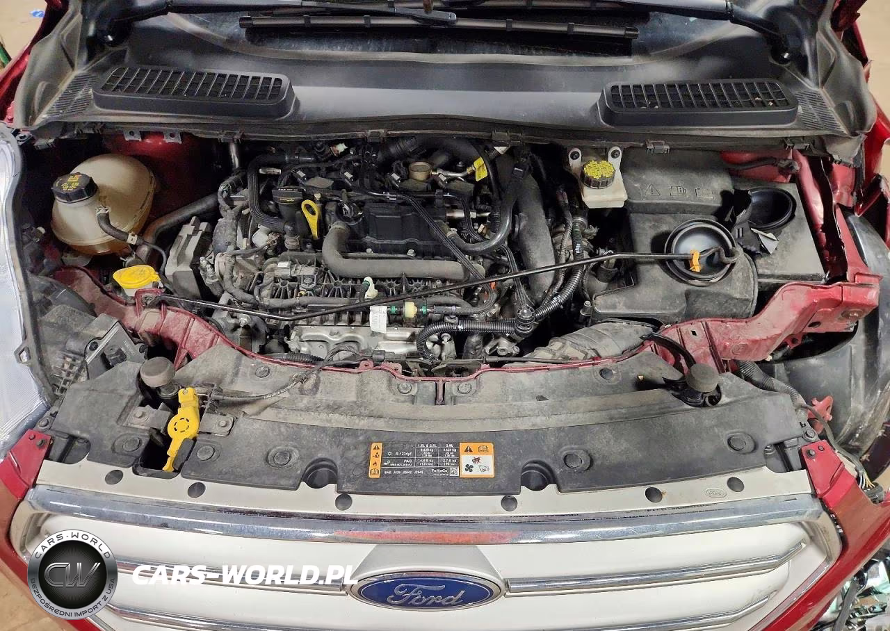 2019 Ford Escape Sel VIN:1FMCU9HD9KUB22313 - 11
