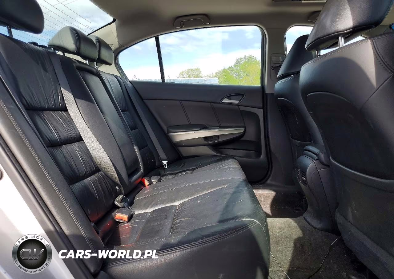 2010 Honda Accord Exl VIN:1HGCP3F87AA019293 - 10