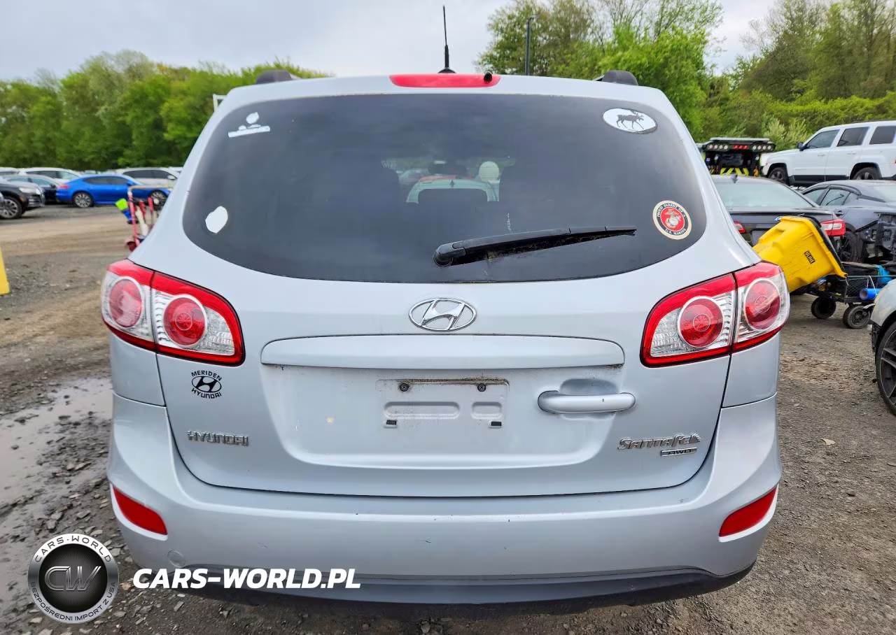 2010 Hyundai Santa Fe Gls VIN:5NMSGDAB7AH382489 - 6