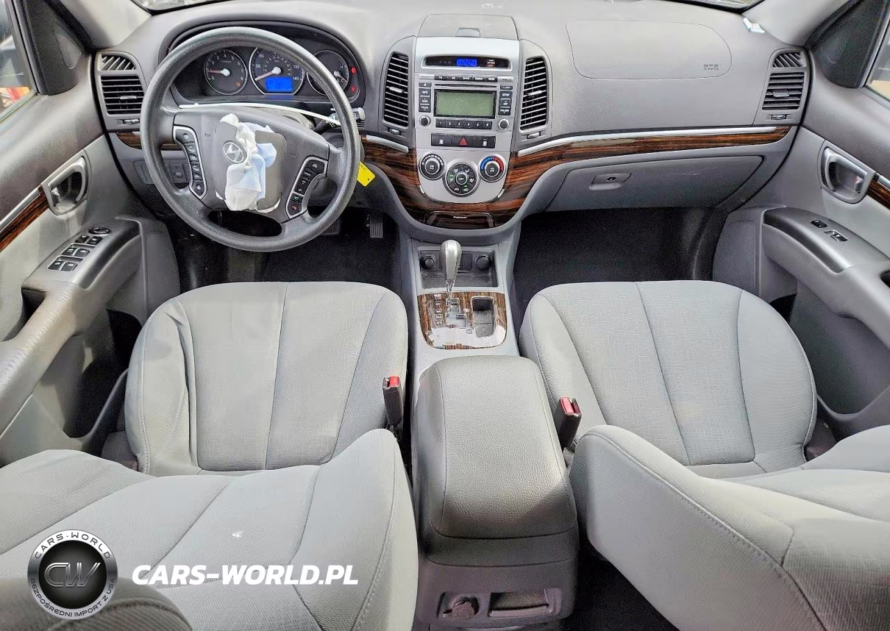 2010 Hyundai Santa Fe Gls VIN:5NMSGDAB7AH382489 - 8