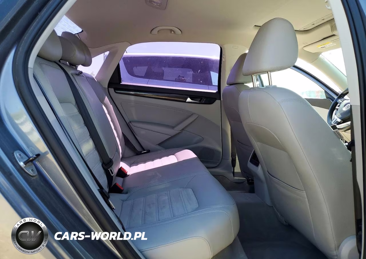 2014 Volkswagen Passat Sel VIN:1VWCN7A3XEC101758 - 10