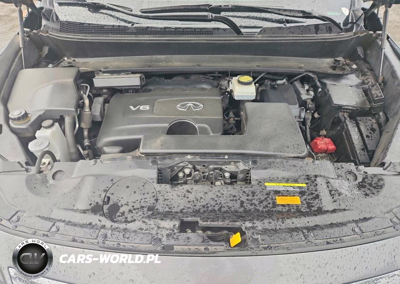 2019 Infiniti Qx60 Luxe VIN:5N1DL0MNXKC568784 - 12