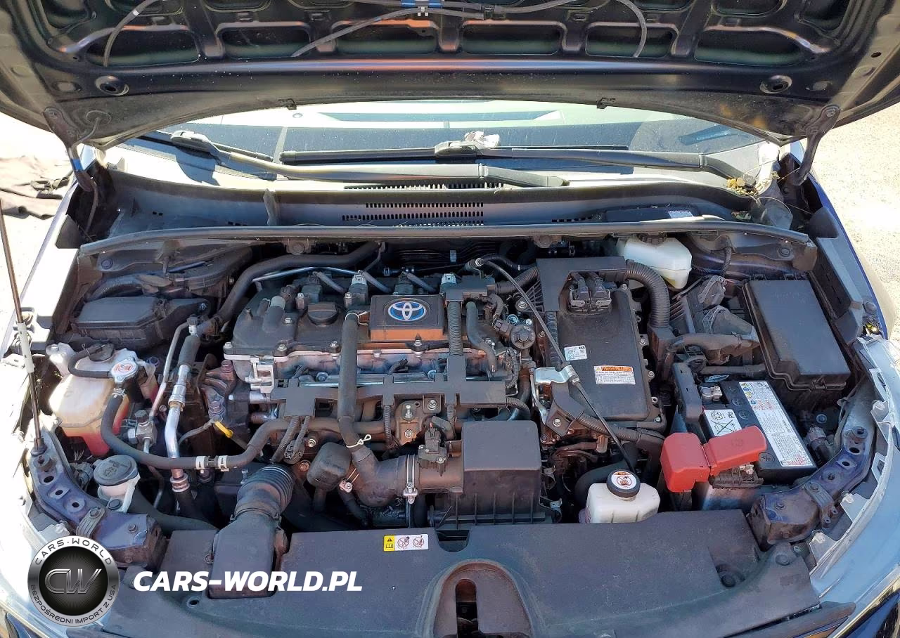 2021 Toyota Corolla Le VIN:JTDEAMDE4MJ033065 - 11