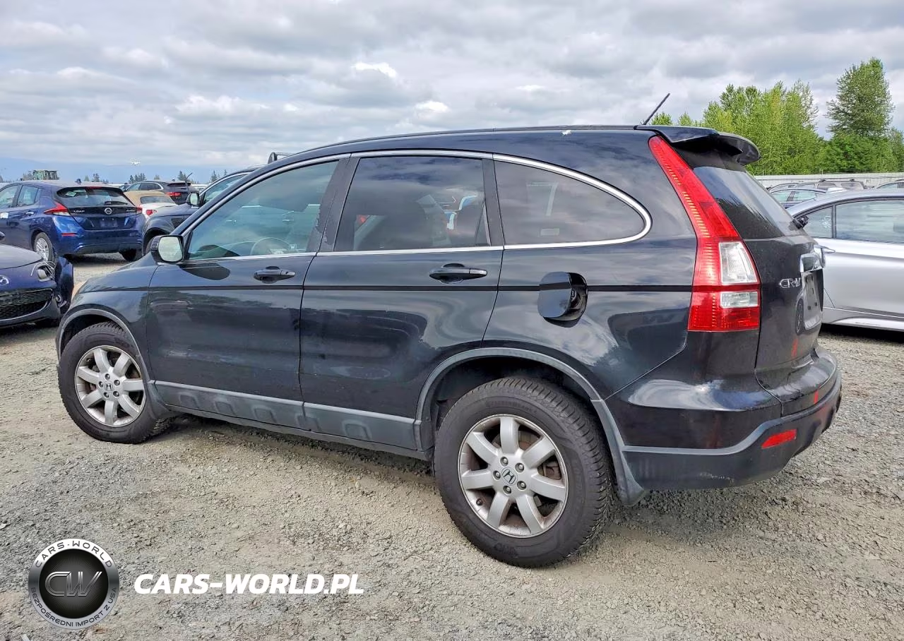2009 Honda Cr-V Exl VIN:5J6RE487X9L068250 - 2
