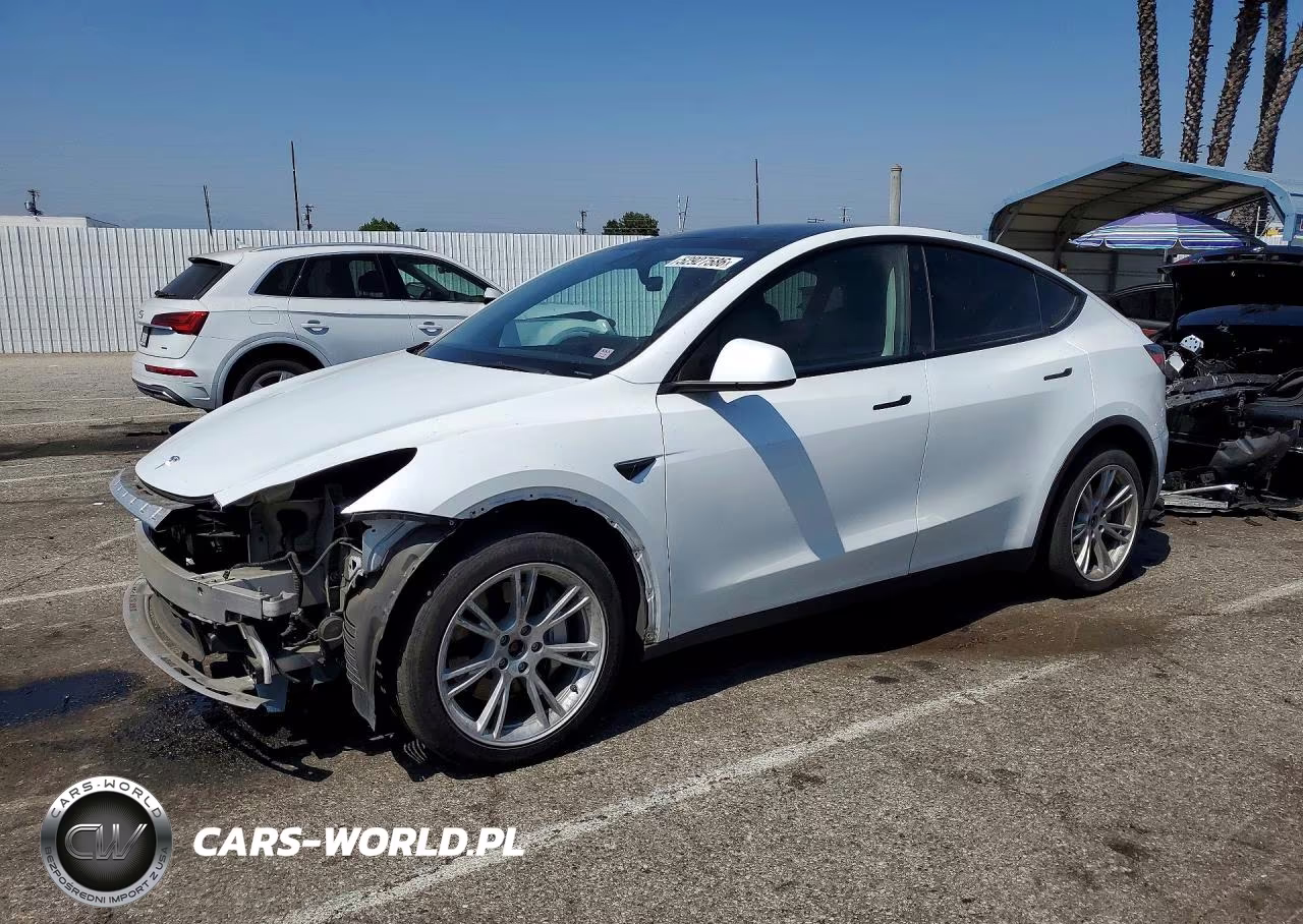 2023 Tesla Model Y VIN:7SAYGDEE3PA123491 - 1