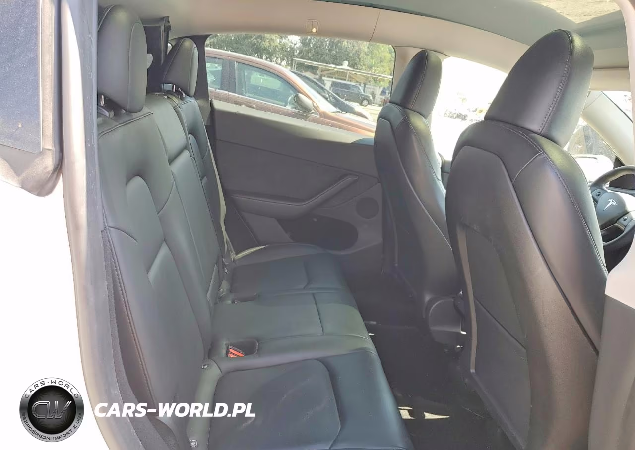 2023 Tesla Model Y VIN:7SAYGDEE3PA123491 - 10