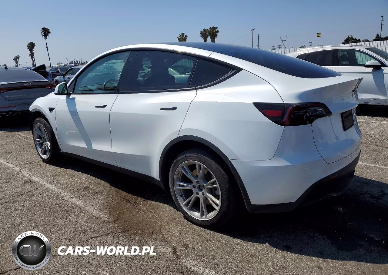 2023 Tesla Model Y VIN:7SAYGDEE3PA123491 - 2