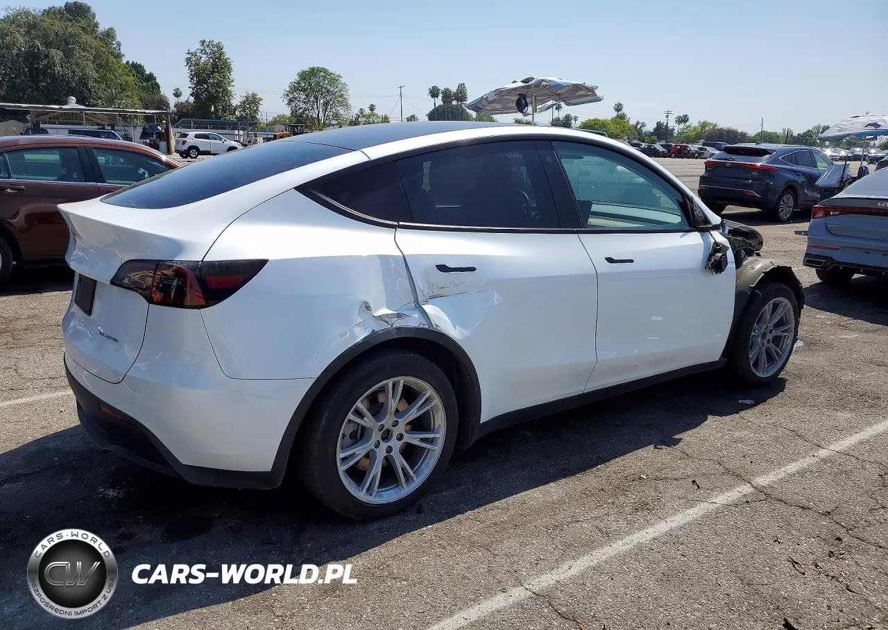 2023 Tesla Model Y VIN:7SAYGDEE3PA123491 - 3