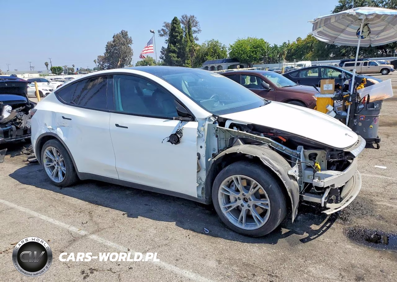 2023 Tesla Model Y VIN:7SAYGDEE3PA123491 - 4