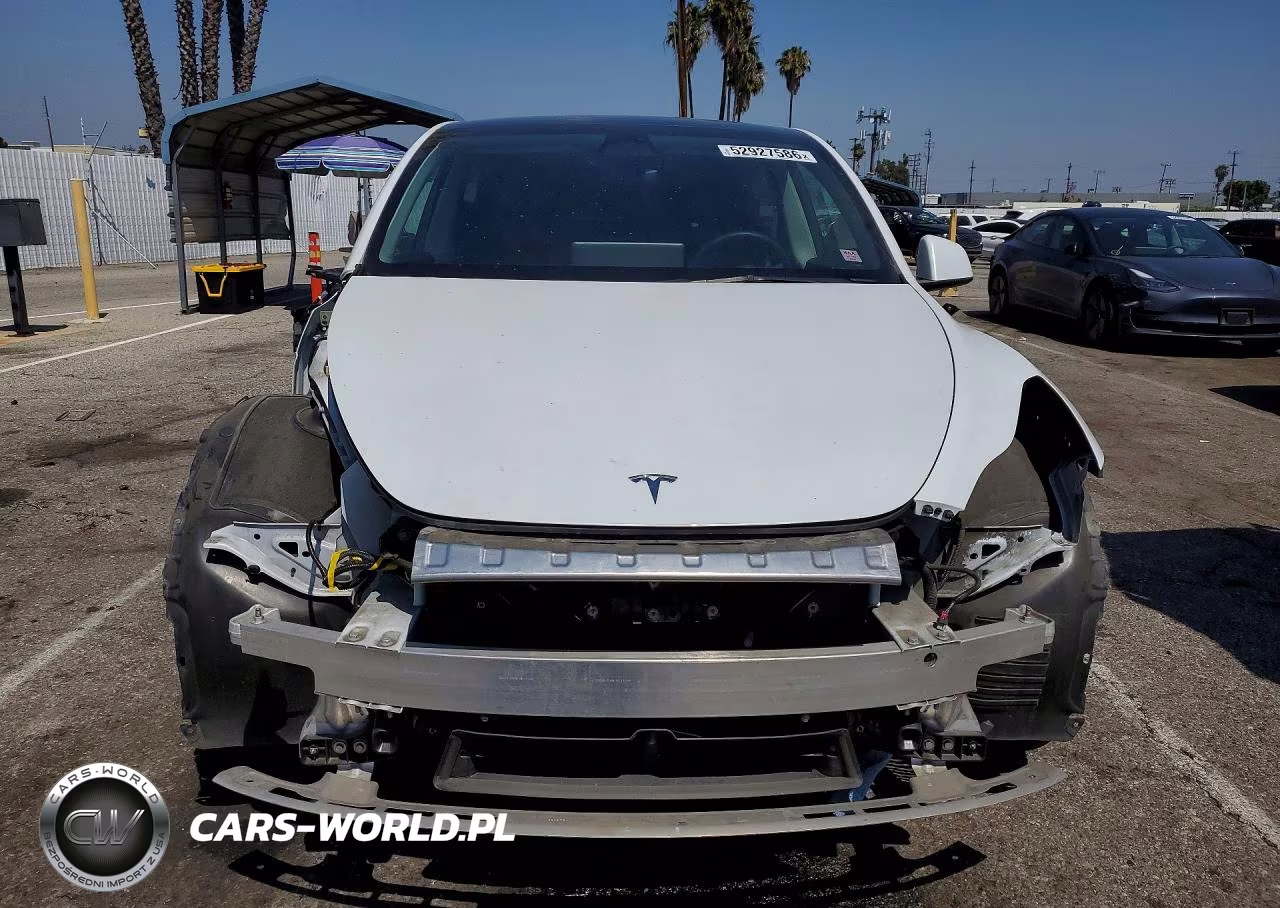 2023 Tesla Model Y VIN:7SAYGDEE3PA123491 - 5