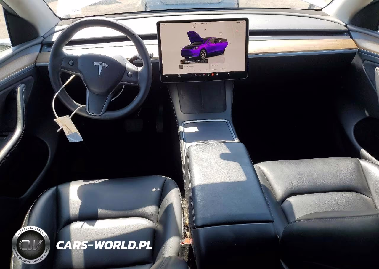 2023 Tesla Model Y VIN:7SAYGDEE3PA123491 - 8