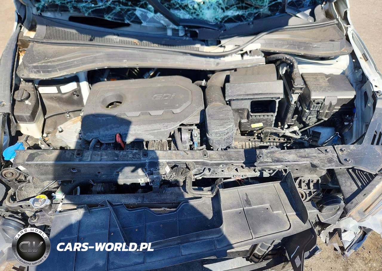 2019 Hyundai Santa Fe Se VIN:5NMS23ADXKH060411 - 12