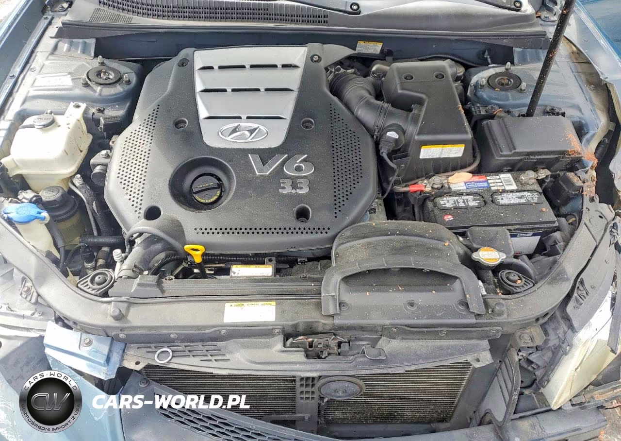 2007 Hyundai Sonata Se VIN:5NPEU46FX7H214746 - 11