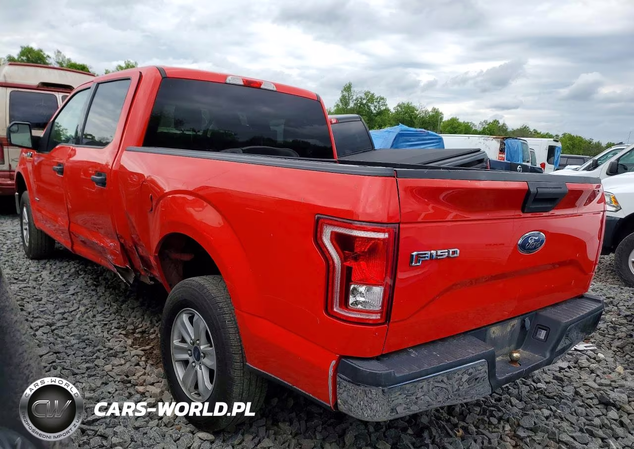 2016 Ford F150 Supercrew VIN:1FTFW1EG5GKE86856 - 2