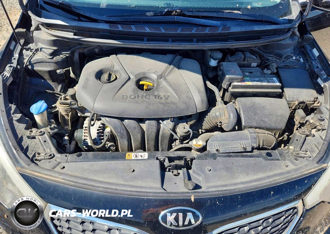 2016 Kia Forte Lx VIN:KNAFK4A66G5563711 - 11