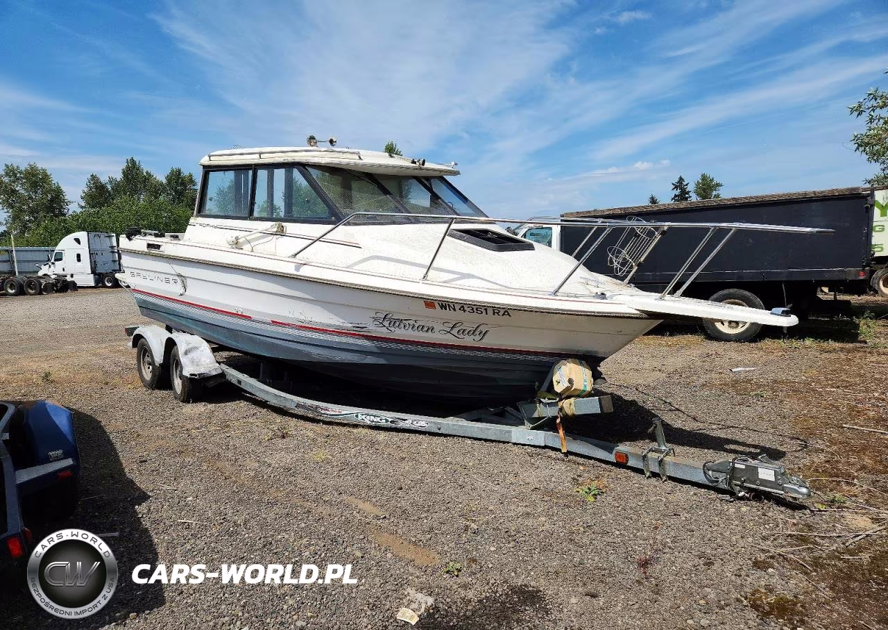 1990 Bayliner Boat - Boat