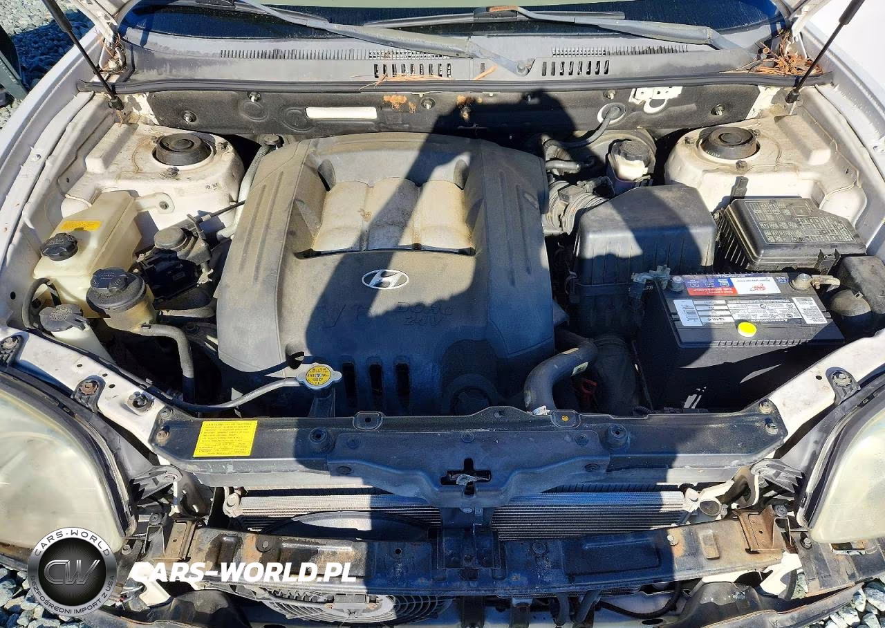 2004 Hyundai Santa Fe Gls VIN:KM8SC73D84U637588 - 11