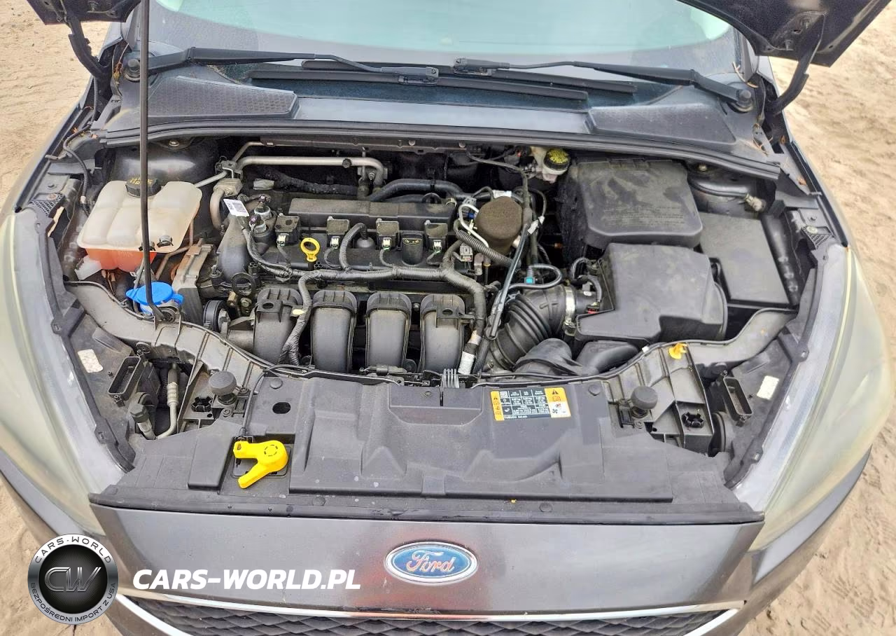 2016 Ford Focus Se VIN:1FADP3K29GL299564 - 11