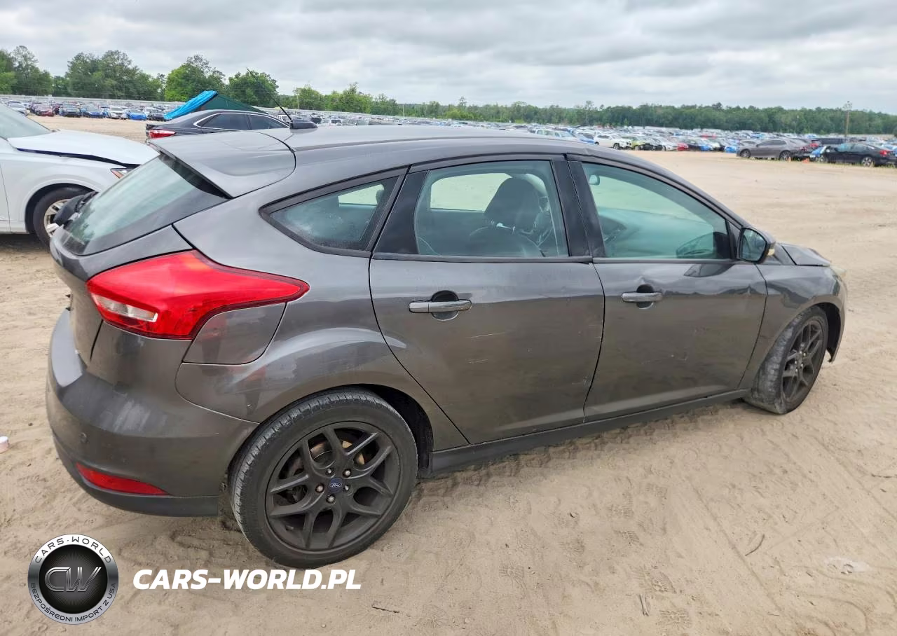2016 Ford Focus Se VIN:1FADP3K29GL299564 - 3