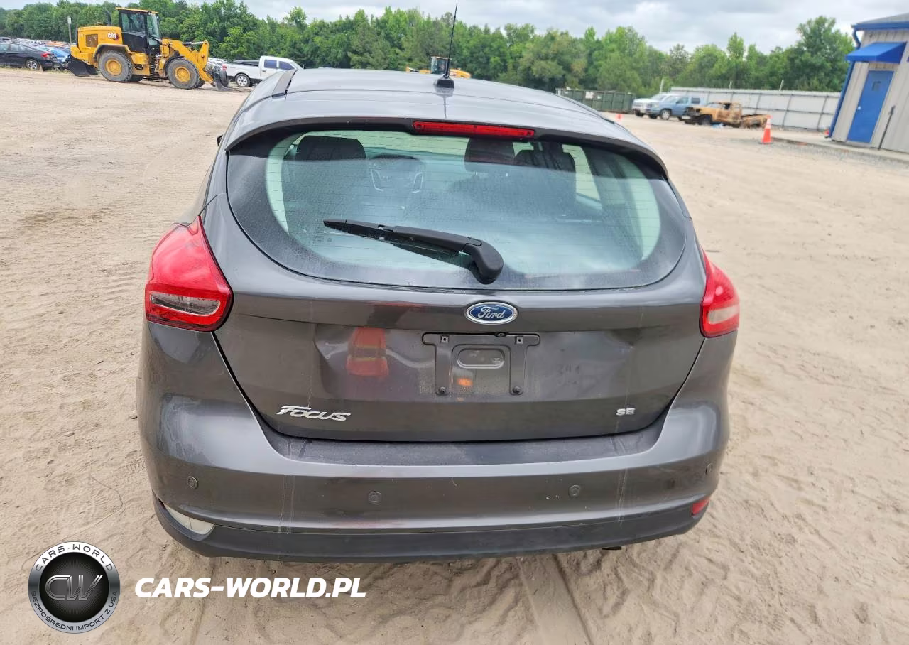2016 Ford Focus Se VIN:1FADP3K29GL299564 - 6