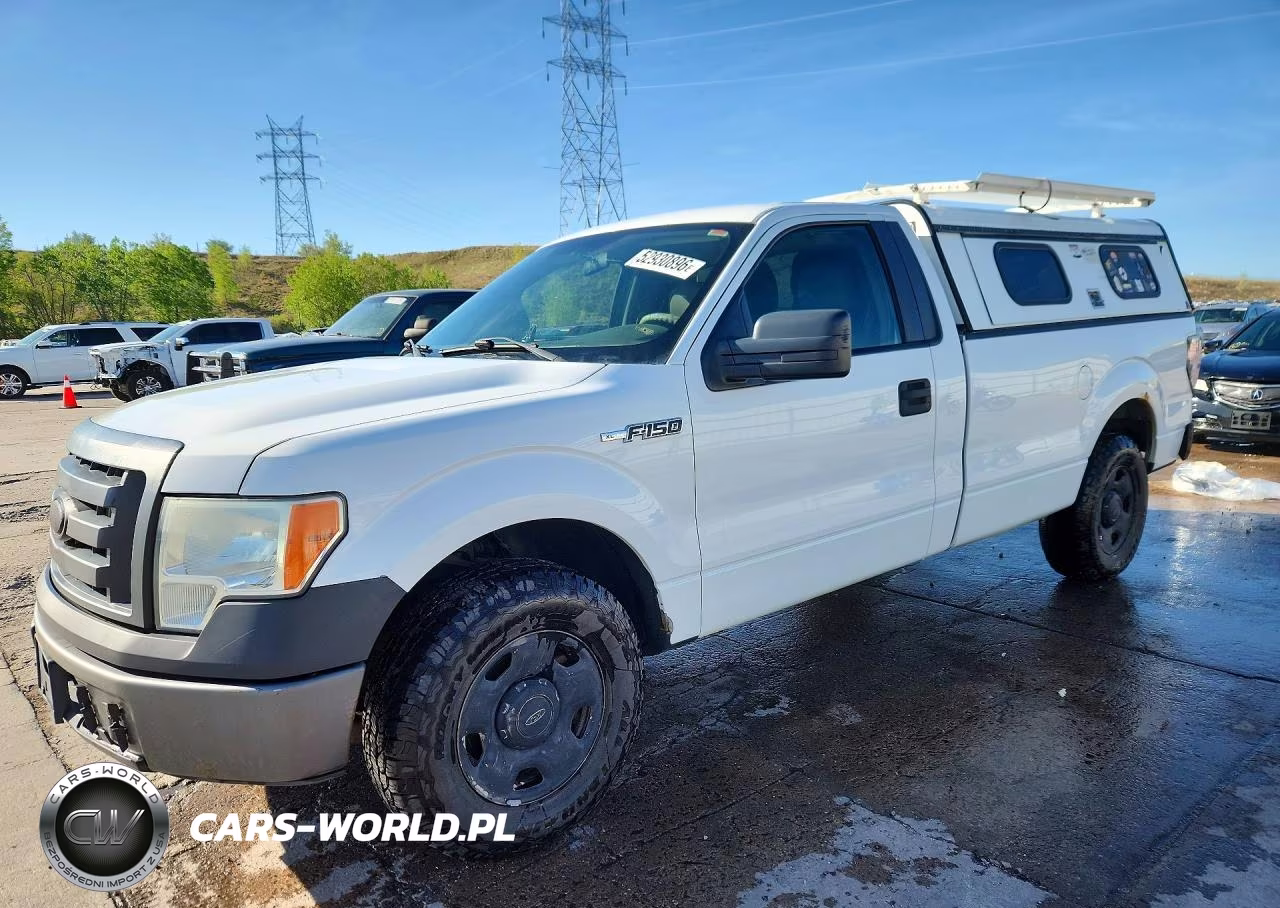 2009 Ford F150