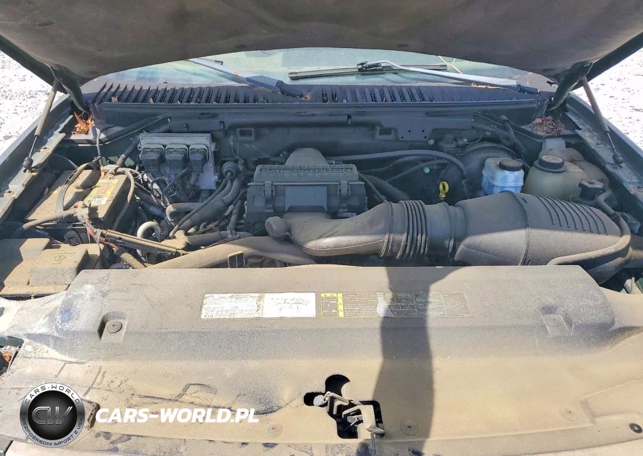 2005 Ford Expedition Eddie Bauer VIN:1FMPU175X5LA63635 - 12