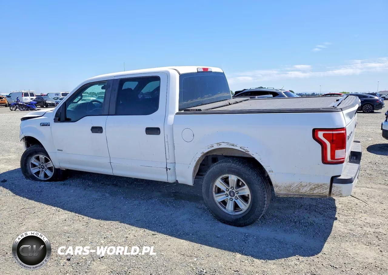 2016 Ford F150 Supercrew VIN:1FTEW1EP0GKD89589 - 2