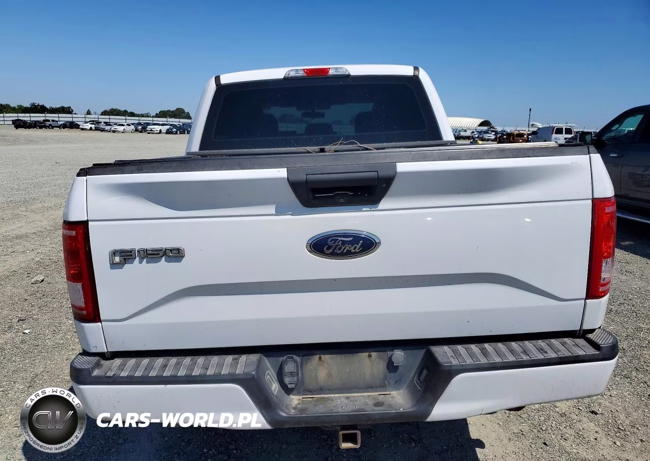 2016 Ford F150 Supercrew VIN:1FTEW1EP0GKD89589 - 6