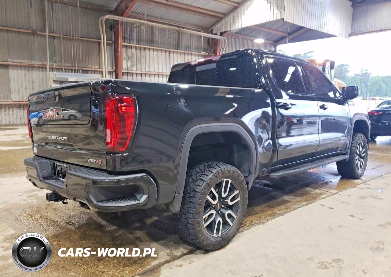 2024 GMC Sierra K1500 At4 VIN:1GTUUEEL1RZ142016 - 3